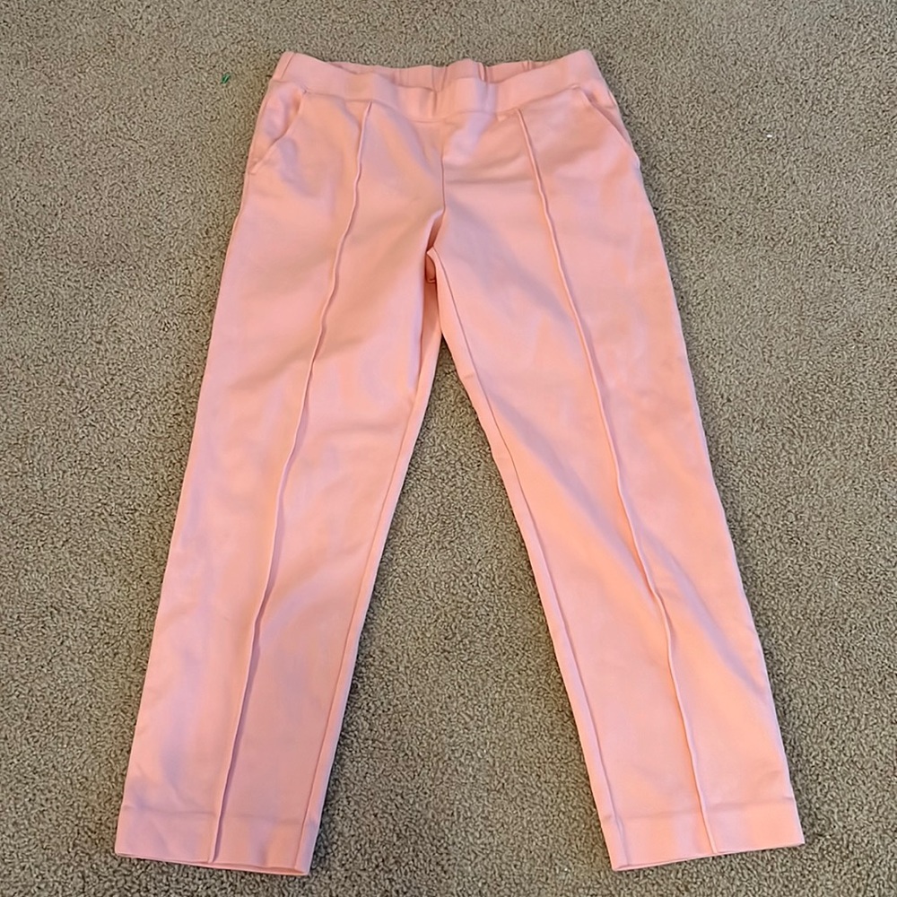 J Crew Pink Pull On Pants Ankle Pleat Size M